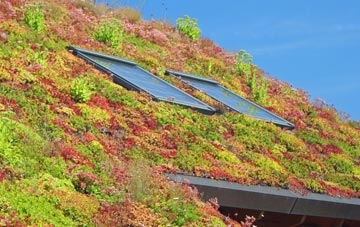 Hill Of Beath living roof systems